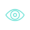 Eye100px